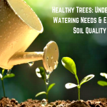 Healthy Trees