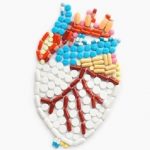 Cholesterol Low & Stay High on Good Health