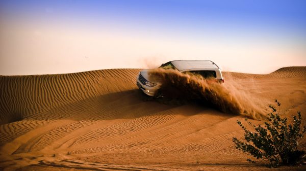 Experience The Best Desert Safari Dubai – Dos And Don’ts