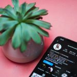 instagram followers