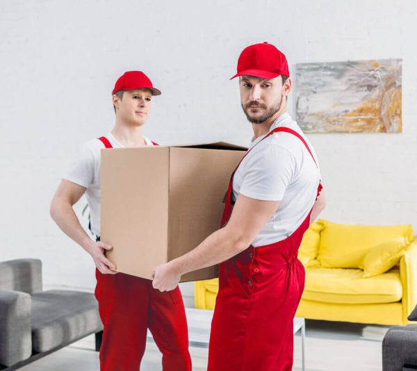 Enroll Specialists For Setting Up Your Office Move Beginning to end