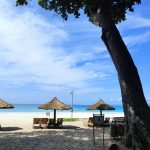 andaman and nicobar islands tourism package